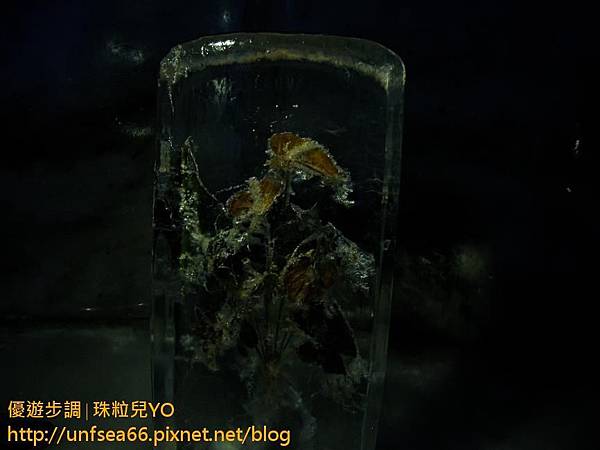 image149_YoYoTempo_瑞士TITLIS鐵力士山纜車賞雪趣.jpg