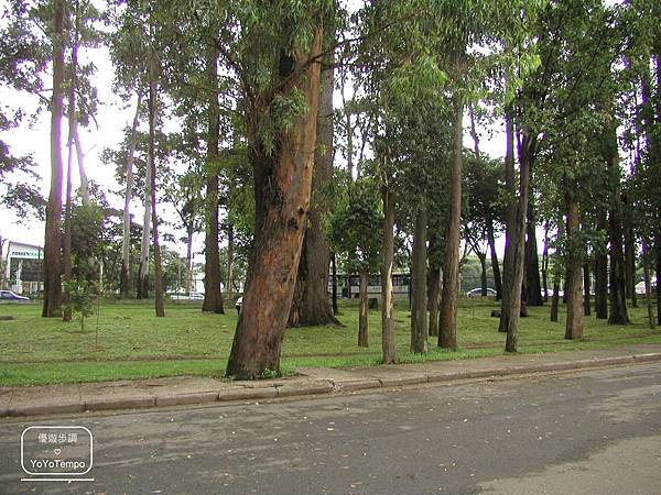 image029_YoYoTempo優遊步調_【巴西旅遊景點】伊比拉布埃拉公園｜Parque Ibirapuera.jpg