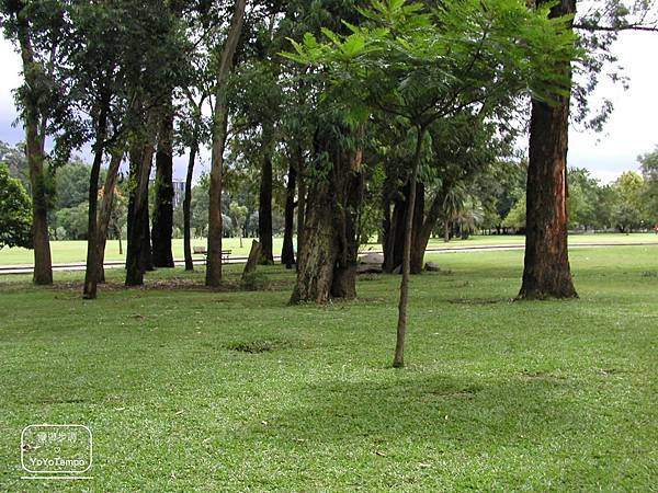 image049_YoYoTempo優遊步調_【巴西旅遊景點】伊比拉布埃拉公園｜Parque Ibirapuera.jpg