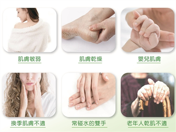 2.jpg 試用