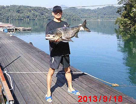 日月潭釣魚