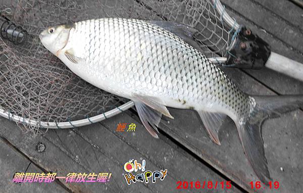 釣魚的方法