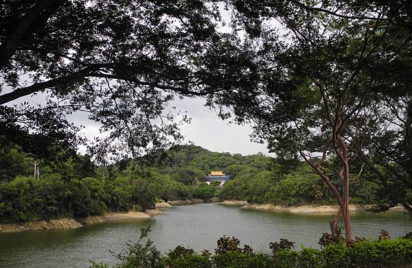 1050809明德水庫日新島-DSCN3180.jpg 1050809明德水庫日新島-DSCN3180.jpg