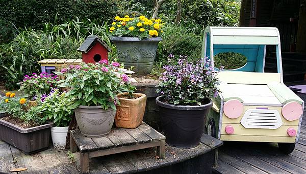 1050707薰衣草花園-DSCN2259-20160707_130812.jpg 1050707薰衣草花園-DSCN2259-20160707_130812.jpg