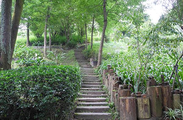 1050707薰衣草花園-DSCN2551.jpg 1050707薰衣草花園-DSCN2551.jpg