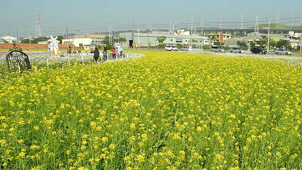 1060110花現龍井-DSCN4907.jpg 1060110花現龍井-DSCN4907.jpg