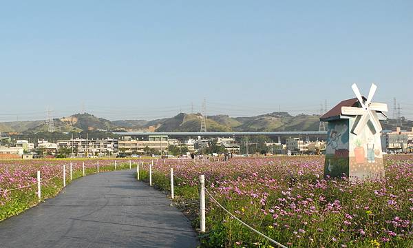 1060110花現龍井-DSCN5058.jpg 1060110花現龍井-DSCN5058.jpg