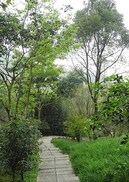 1060317桃李河畔-DSCN6087.jpg 1060317桃李河畔-DSCN6087.jpg