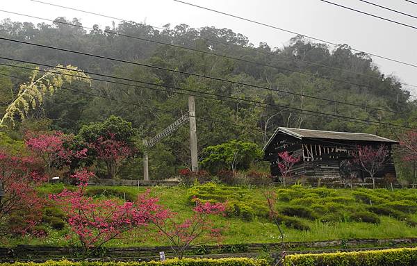 泰安火車站-DSCN5734.jpg 泰安火車站-DSCN5734.jpg