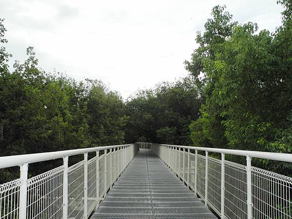 1061013八卦山天空步道-DSCN7270.jpg 1061013八卦山天空步道-DSCN7270.jpg