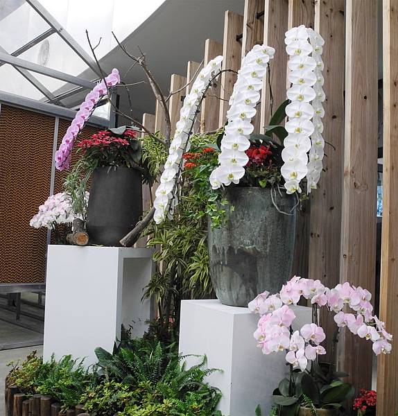 1080213花博花舞館-DSCN3297.jpg 1080213花博花舞館-DSCN3297.jpg
