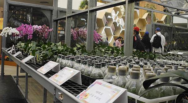 1080213花博花舞館-DSCN3299.jpg 1080213花博花舞館-DSCN3299.jpg