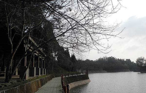 1080206頭社水庫-DSCN2082.jpg 1080206頭社水庫-DSCN2082.jpg