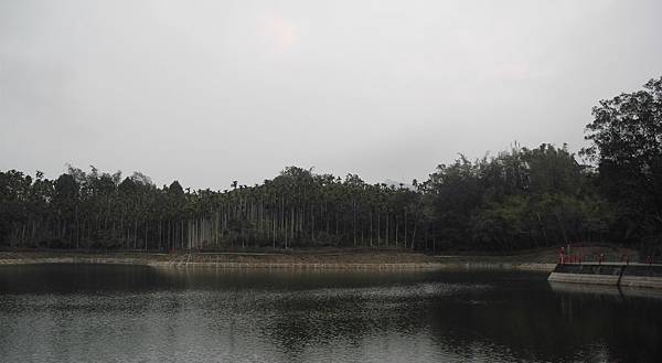 1080206頭社水庫-DSCN2272.jpg 1080206頭社水庫-DSCN2272.jpg