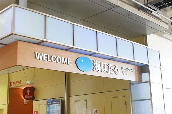 海螢