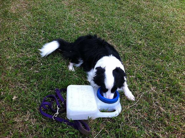 IMG_0356.JPG IMG_0356.JPG
