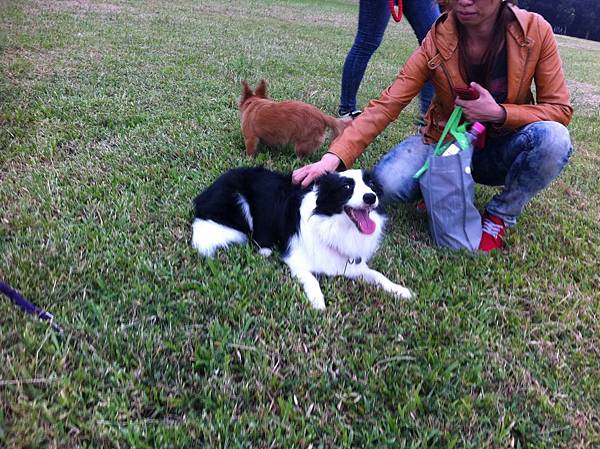 IMG_0375.JPG IMG_0375.JPG
