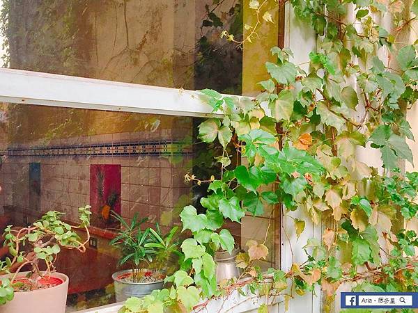 IMG_0238.jpg IMG_0238.jpg