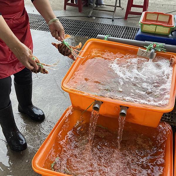 IMG_2357.jpg IMG_2357.jpg