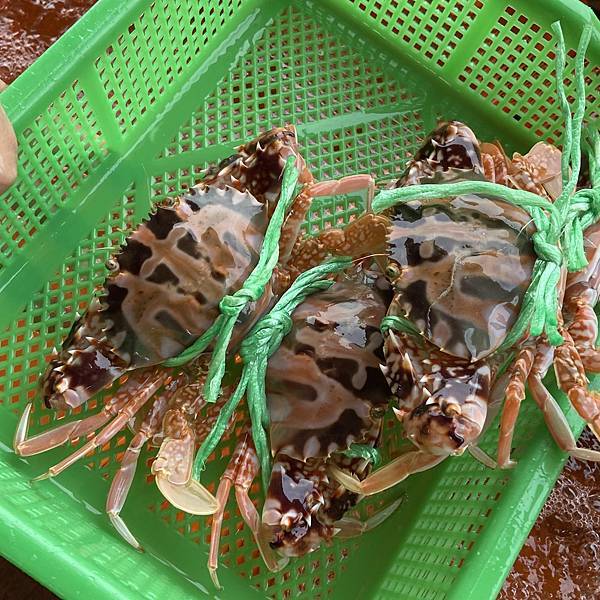 IMG_2360.jpg IMG_2360.jpg