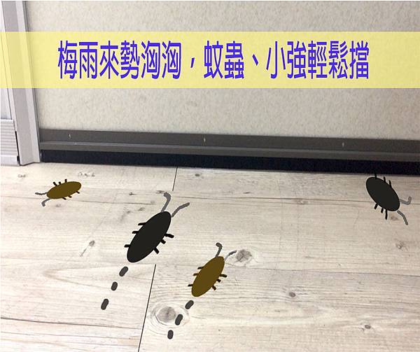 梅雨來勢洶洶,蚊蟲、小強輕鬆擋-門縫擋條,門縫條,超好擋防塵毛刷條