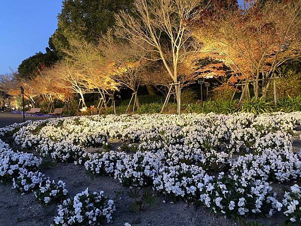 112.12.25~12.30日本名古屋-奧飛驒雪化妝6天員