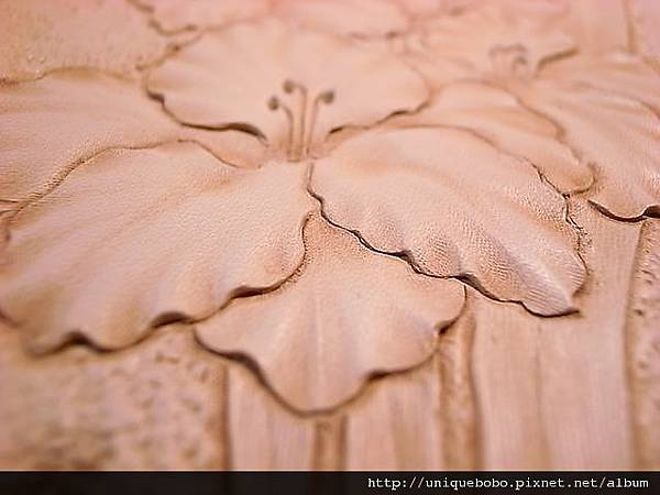 皮革雕刻-寫實的花朵-劍蘭-AA0107-R1064024 [640x480]