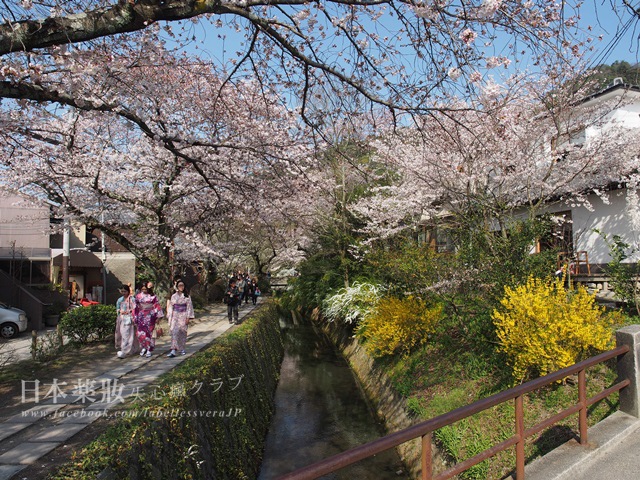 P3310170.JPG