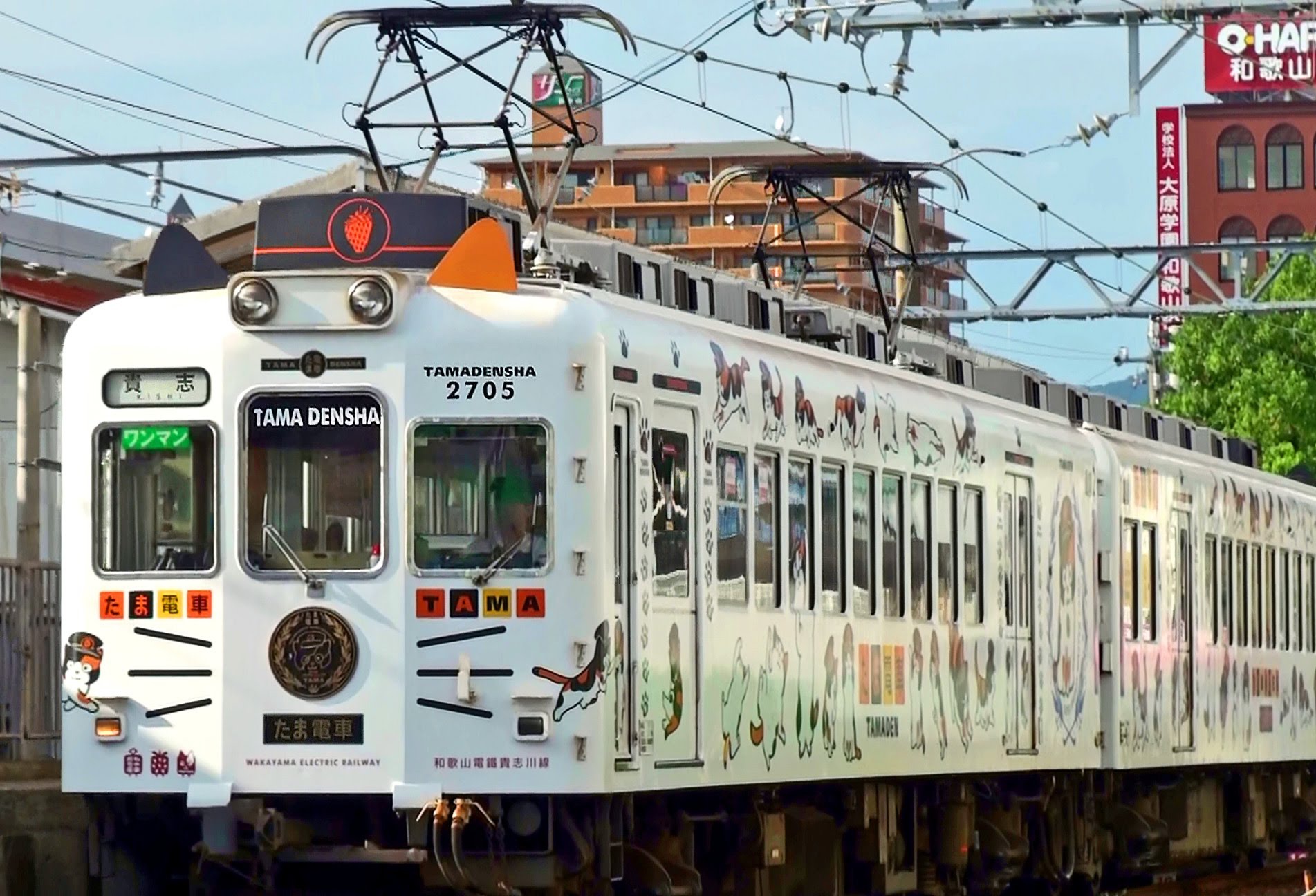 Labelless Vera 痞客邦pixnet