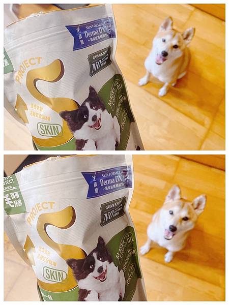 狗狗飼料開箱 毛起來飼料心得14天美毛挑戰計劃 Project S 機能寵糧 護膚無穀犬糧s12 田園雞與秋刀魚 護膚均衡犬糧 狗狗飼料開箱 毛起來飼料心得14天美毛挑戰計劃 Project S 機能寵糧 護膚無穀犬糧s12 田園雞與秋刀魚 護膚均衡犬糧