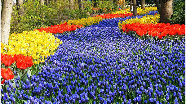 螢幕快照 2015-05-21 下午12.45.45