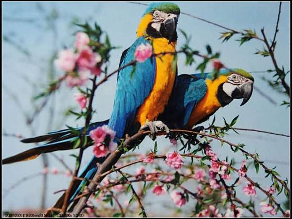 20150407_190113_109 20150407_190113_109