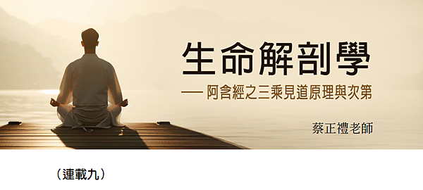 (196)生命解剖學---阿含精之三乘見道原理與次第(九)-