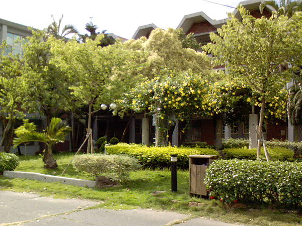 DSC02914.JPG DSC02914.JPG