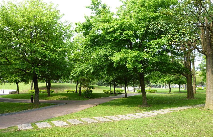 埔頂公園8