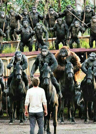 猩球崛起 猩球崛起