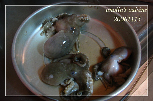 章魚1.jpg 章魚1.jpg