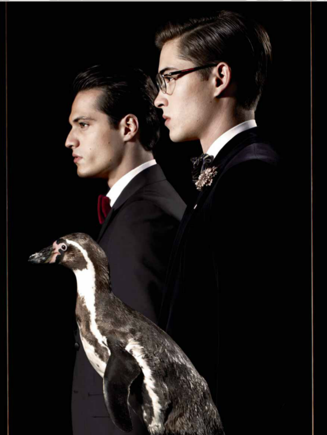 francisco-lachowski-march-of-the-penguins-harrods-magazine-02.png