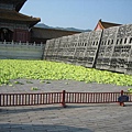 最終回大陸出差--第四日