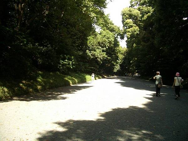 明治神宮的路