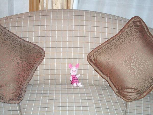 Littl Pig on sofa~~~~~~