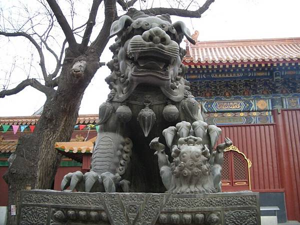 A stone lion in yun-her temple