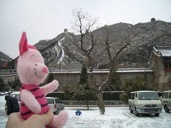 Little Pig in front of the Great Wall