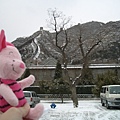 Little Pig in front of the Great Wall