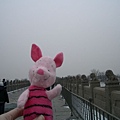 Little pig with stone lions~~~