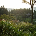 銀閣的山景