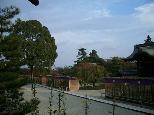 大覺寺的漂亮庭院