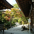 上賀茂神社的庭院