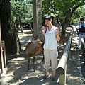 我和奈良鹿