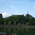 猿渡池和興福寺的倒影